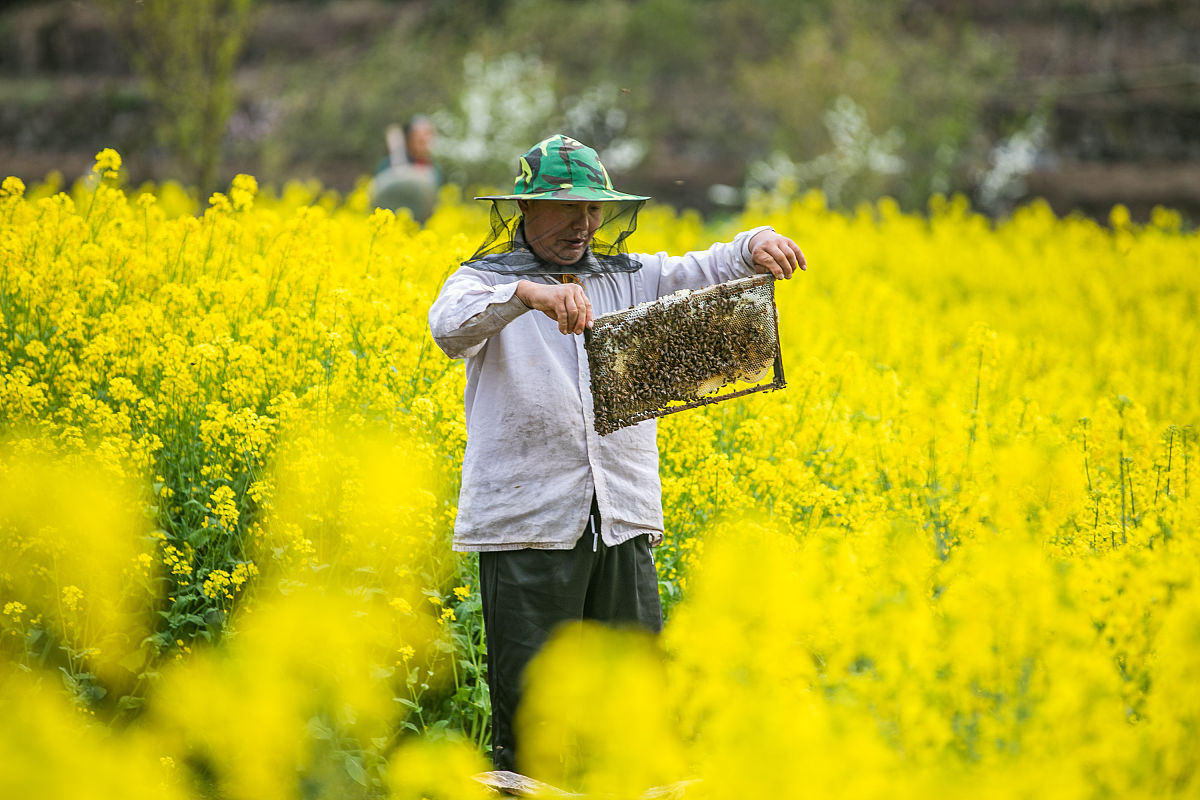 贵州财政学校2022年招生简章