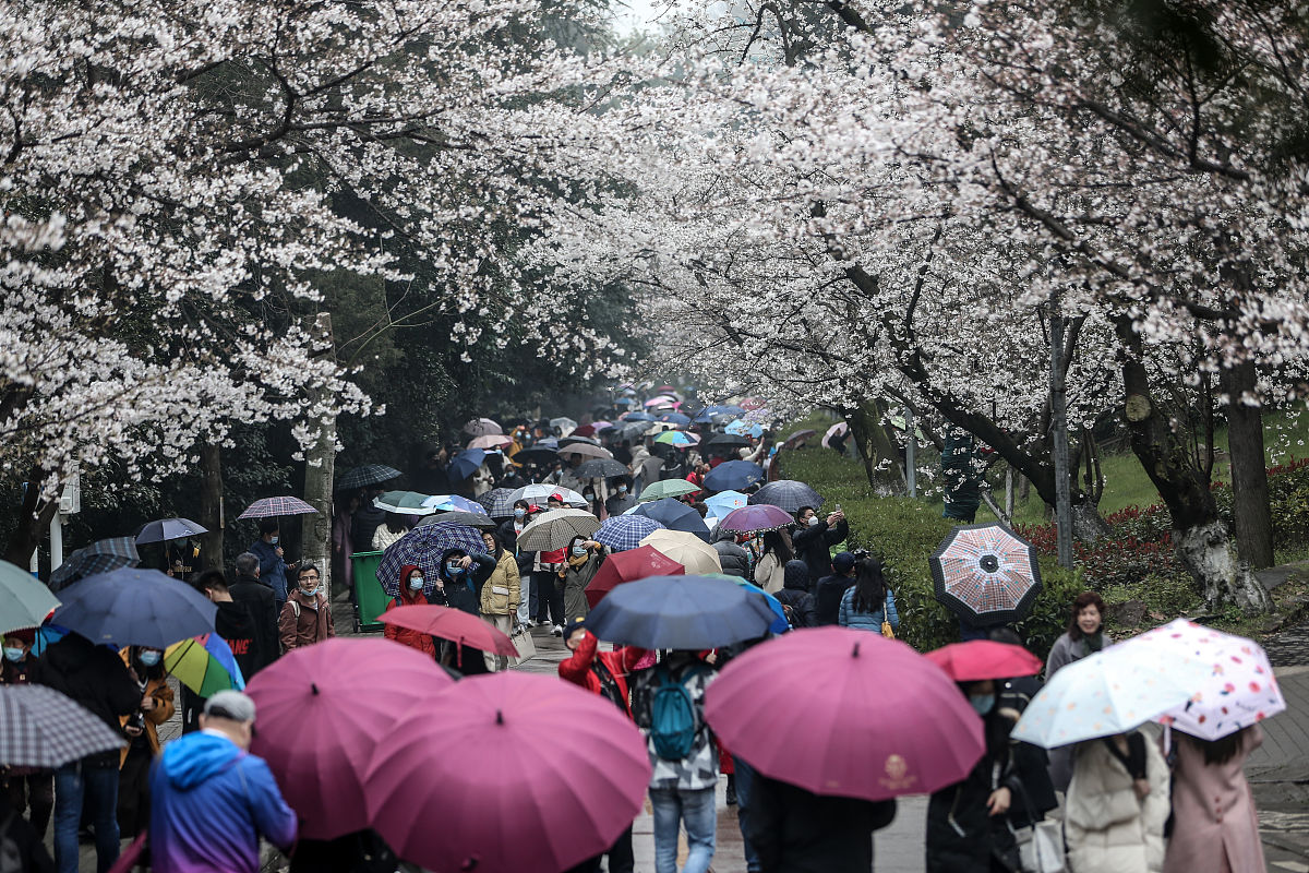 内蒙古开放大学自动评分工具 - 快速高效完成课程评分