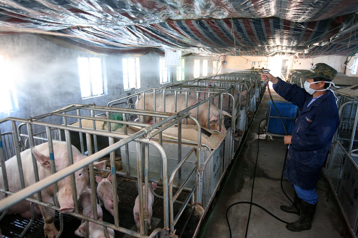 红河州农业学校畜牧兽医专业怎么样？教学质量分析