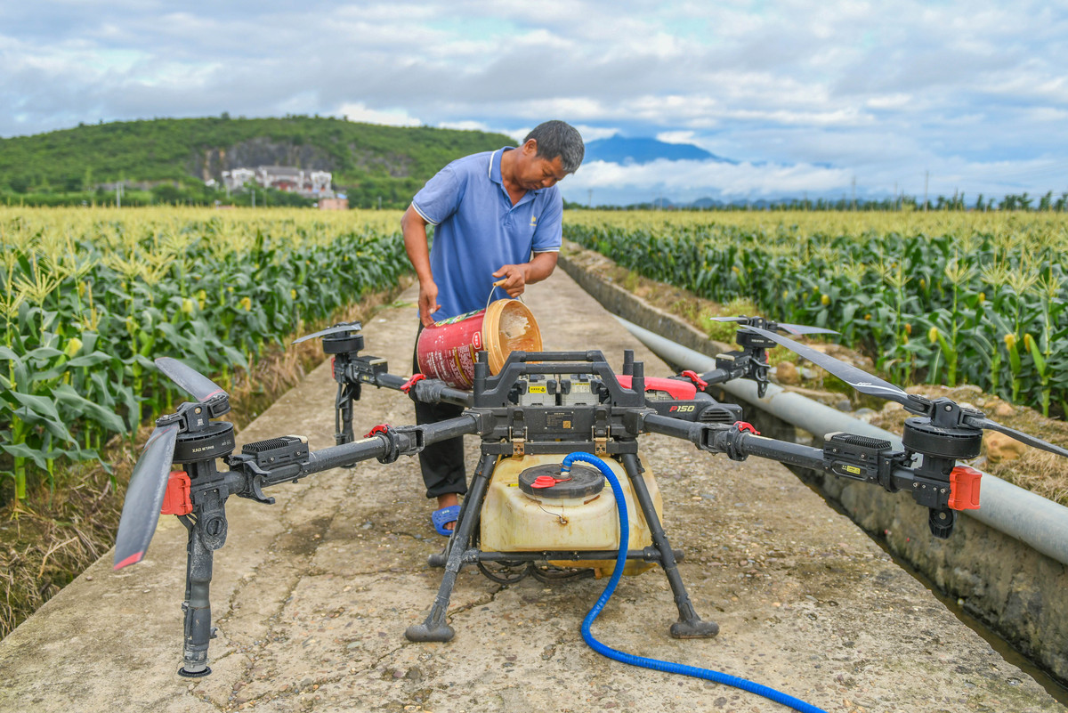 花椒采摘机：自动化、智能、环保，提升采摘效率和质量