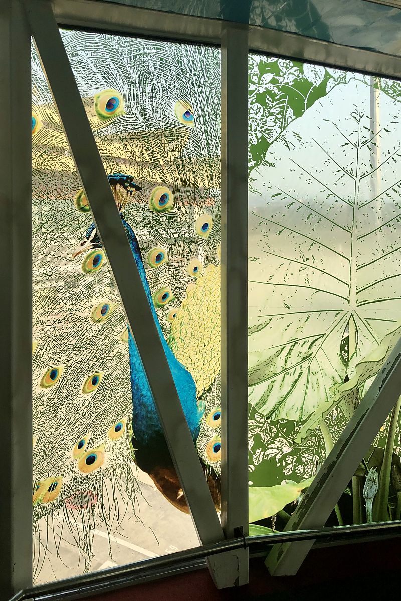 云南省林业学校2021年报名需要满足哪些条件