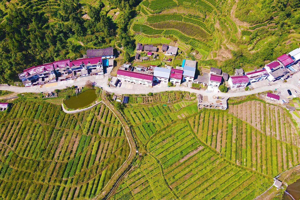 岳西医保局回答加拓展