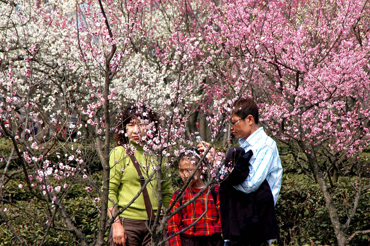 有什么可以帮你的吗某某开发区杏花摄影节活动策划案一、活动背景： 当前摄影已成为现代人最为普遍、最为生活化的美学追求方式之一。为深入推进打造文化、宜居、现代化开发区落实区委、区政府文化惠民、文化强区、文化富民工作思路在加强开发区文化旅游产业发展的同时也为广大摄影爱好者提供了一个良好的交流与展示平台。于是某某开发区决定举办杏花摄影节活动为广大摄影爱好者搭建一个全新的平台。二、活动主题： 花韵某某观赏杏