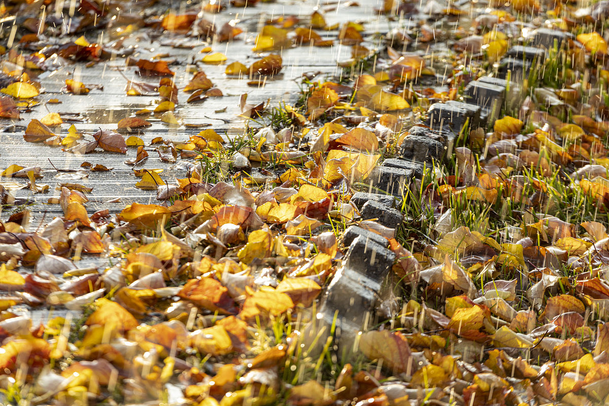 金昌技师学院五年制大专2021年有哪些专业