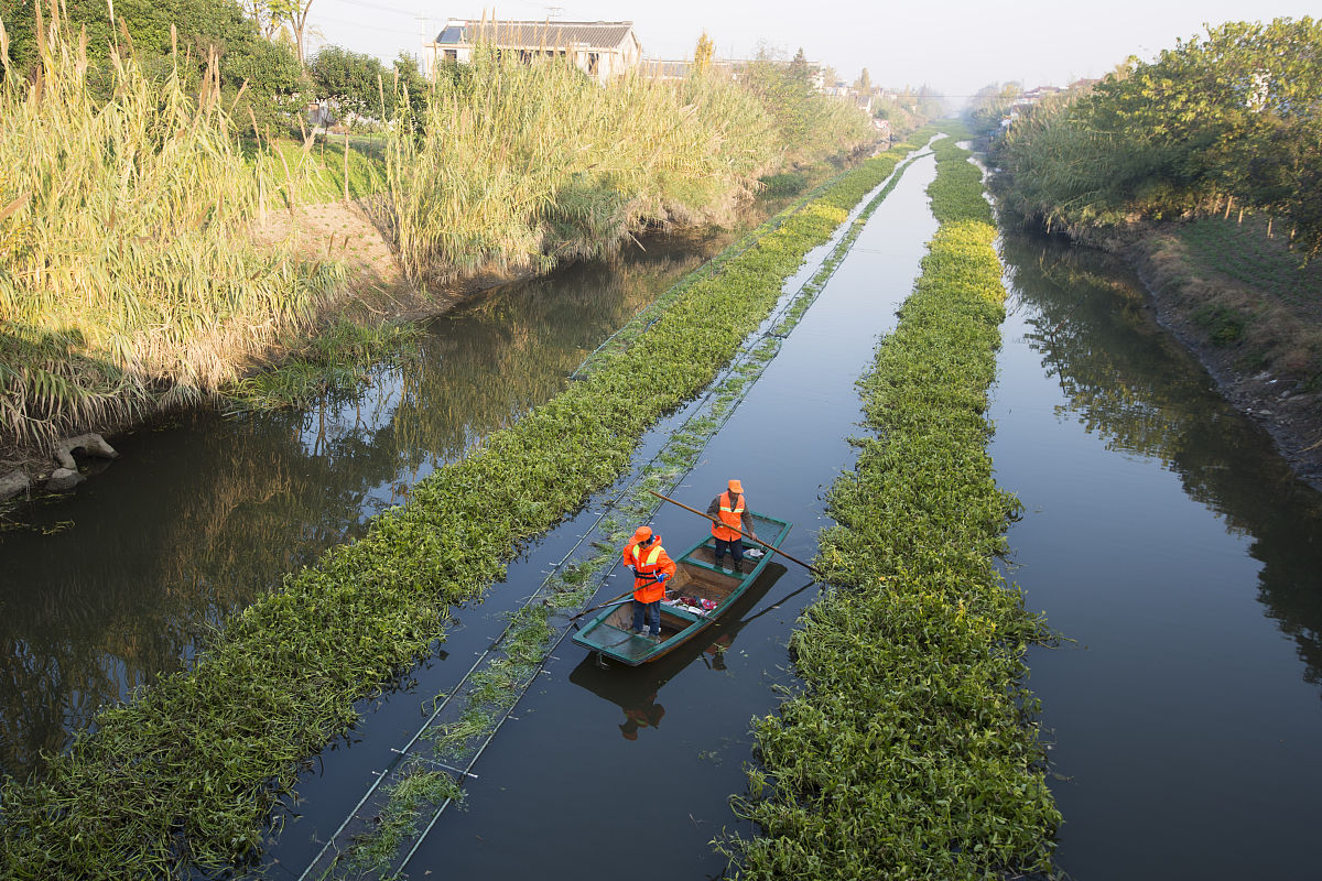 乡镇排浸河道整治的需求分析2000字