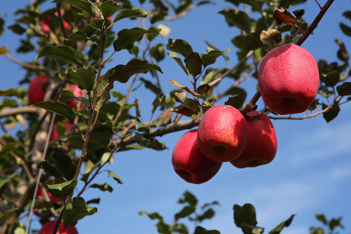 陕西科技技师学院专业设置：工科院校的专业选择
