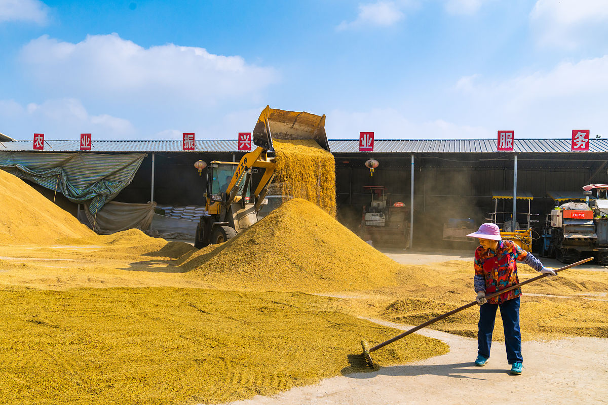 四川中专学校热门专业推荐：未来职业发展趋势