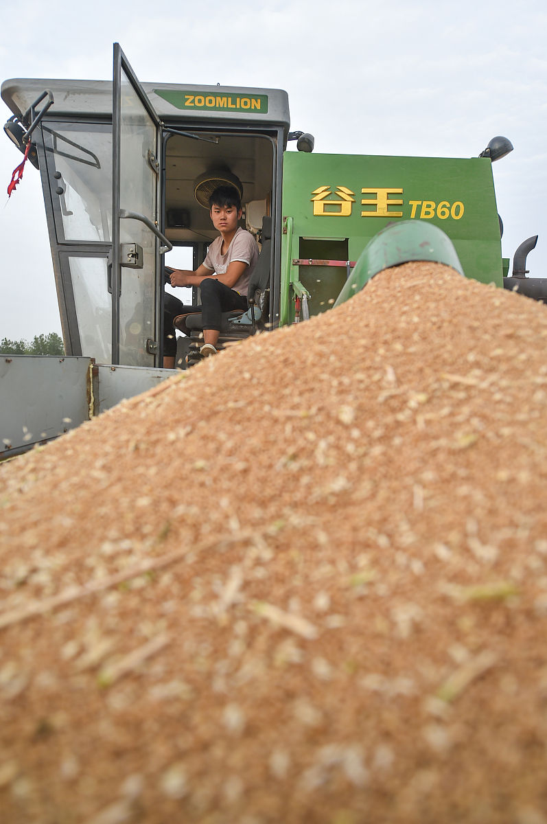 扶沟县牧原麸皮采购项目帮我用200字详细描述