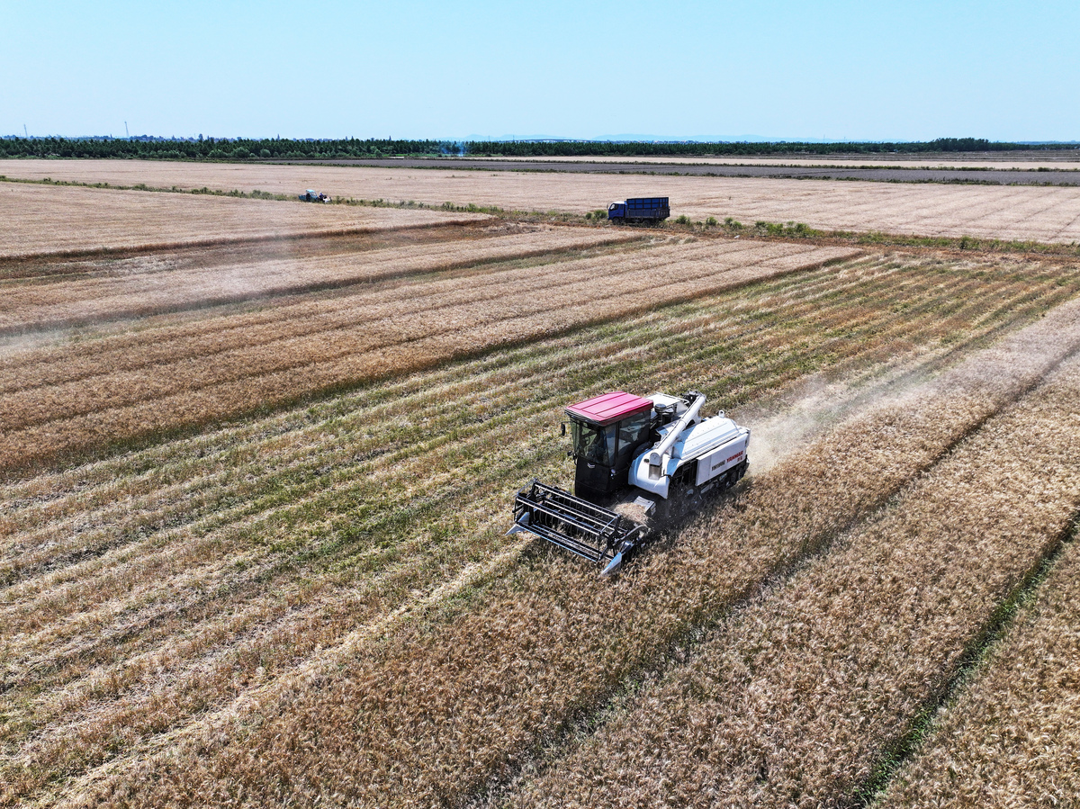 写一篇通过加强农业机械化提升了粮食产能的典型案例内容具体