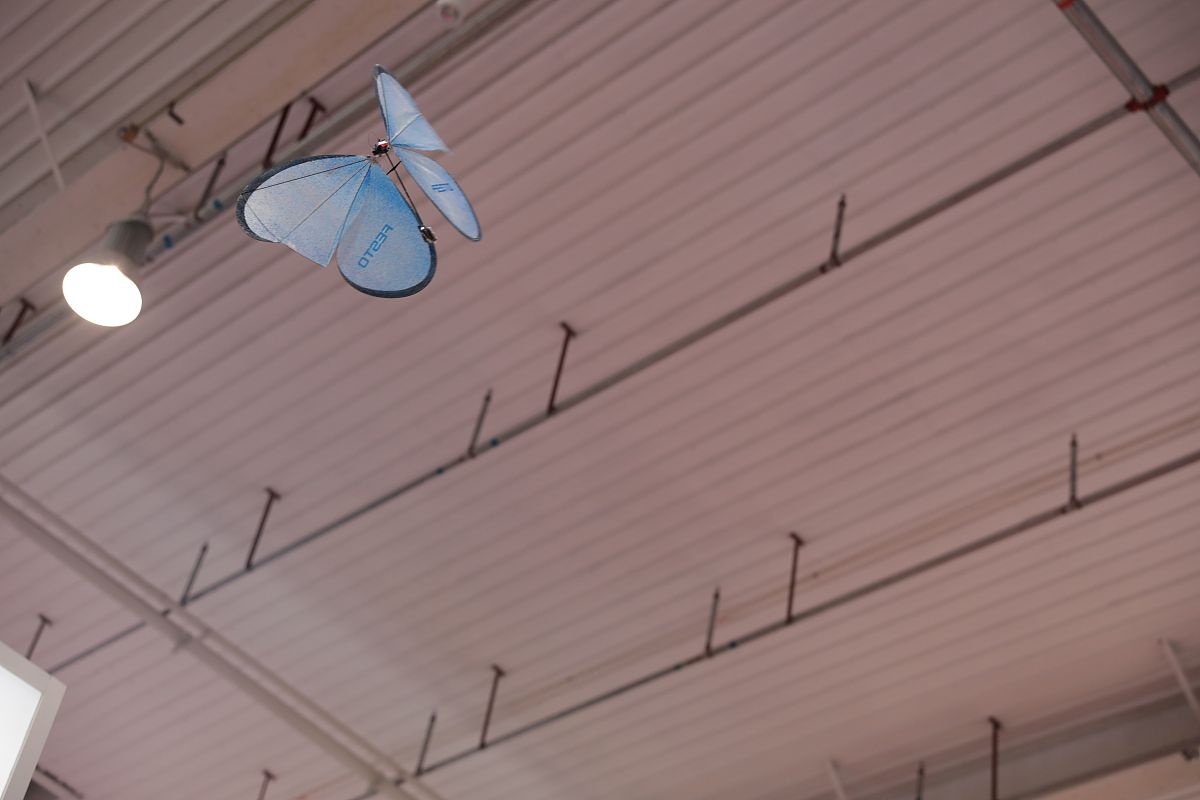 仿生蝴蝶：科学研究、技术创新和应用价值的结晶