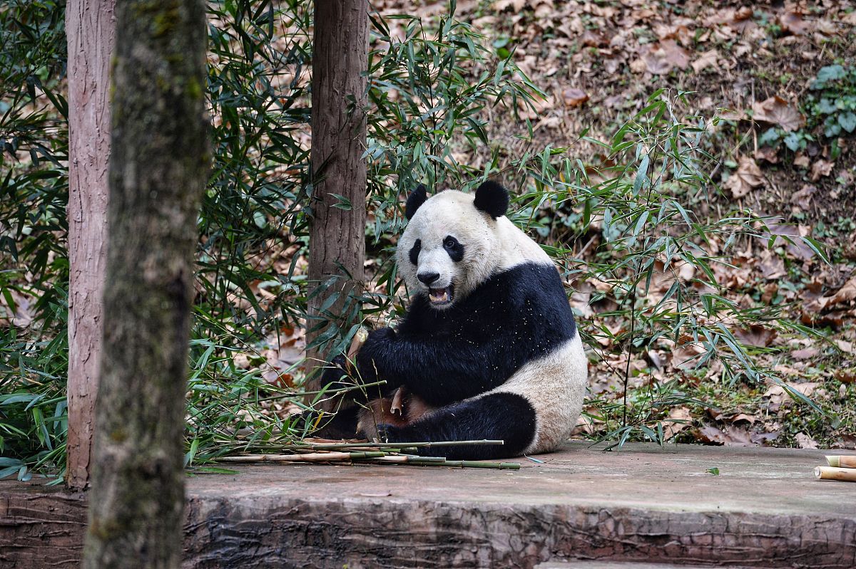 315尿不湿曝光名单2022