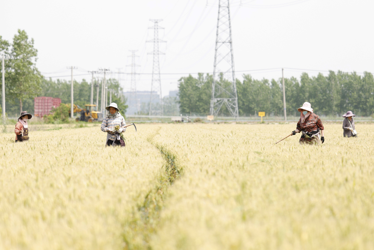 地头在立轴中的什么位置