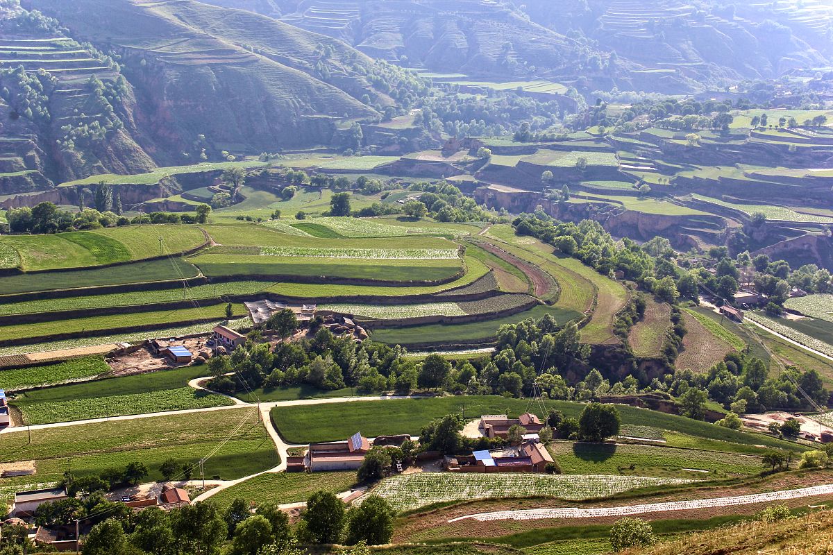 2010-2020定西市土地利用变化对生态环境的影响分析