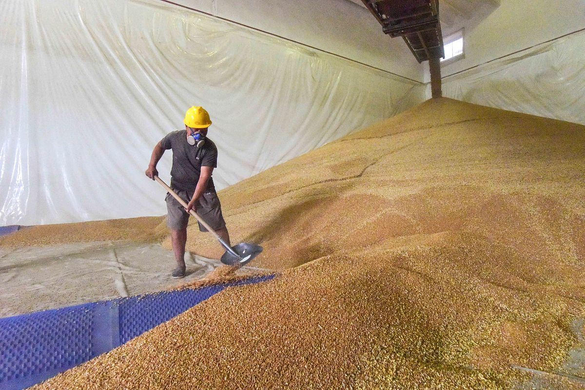 大豆生产检查：工厂参观及数据收集