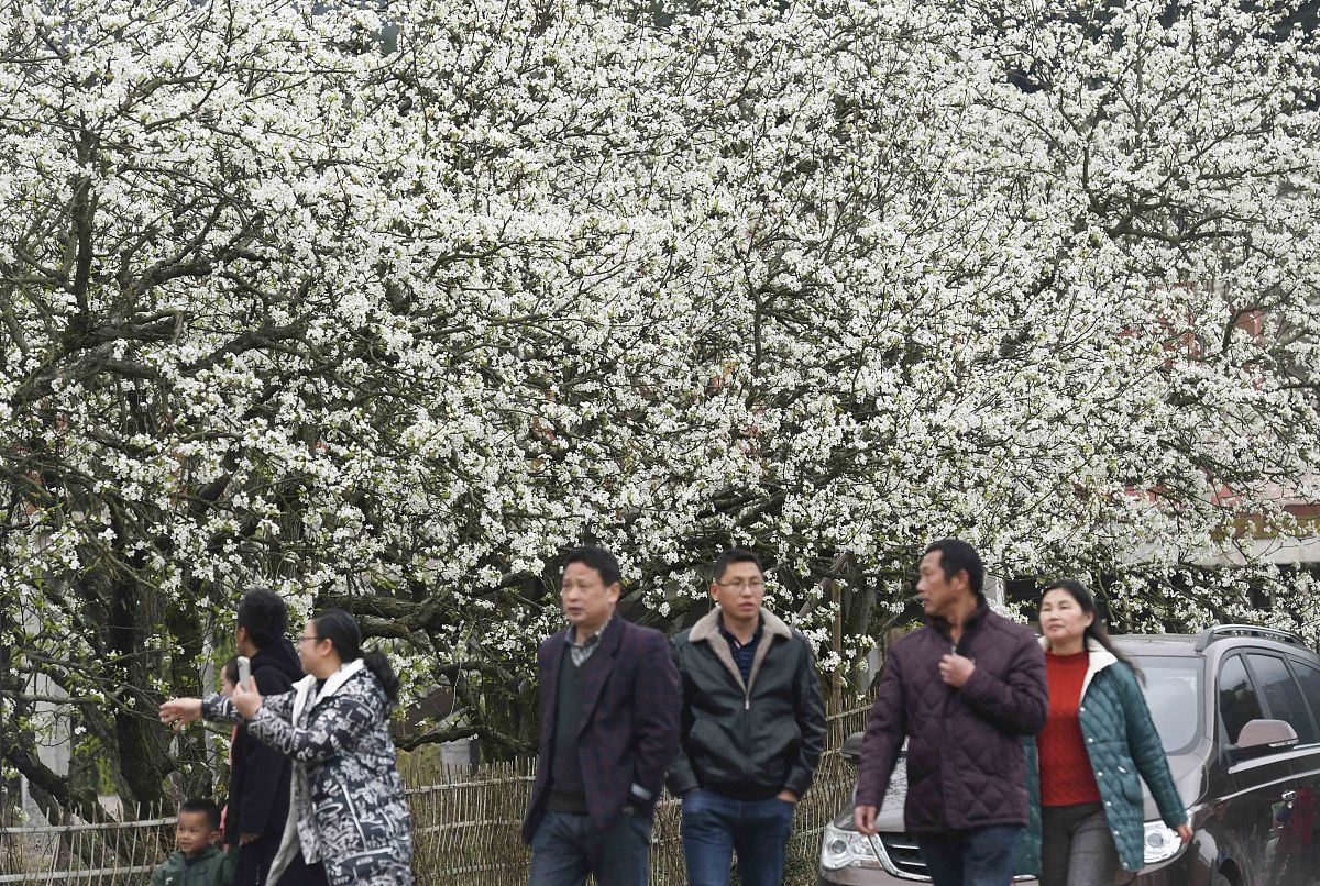 灌阳县人才档案管理中心：专业人才档案管理服务机构