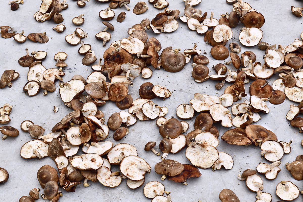 重庆机械职工中等专业学校工模具及注塑教学质量如何