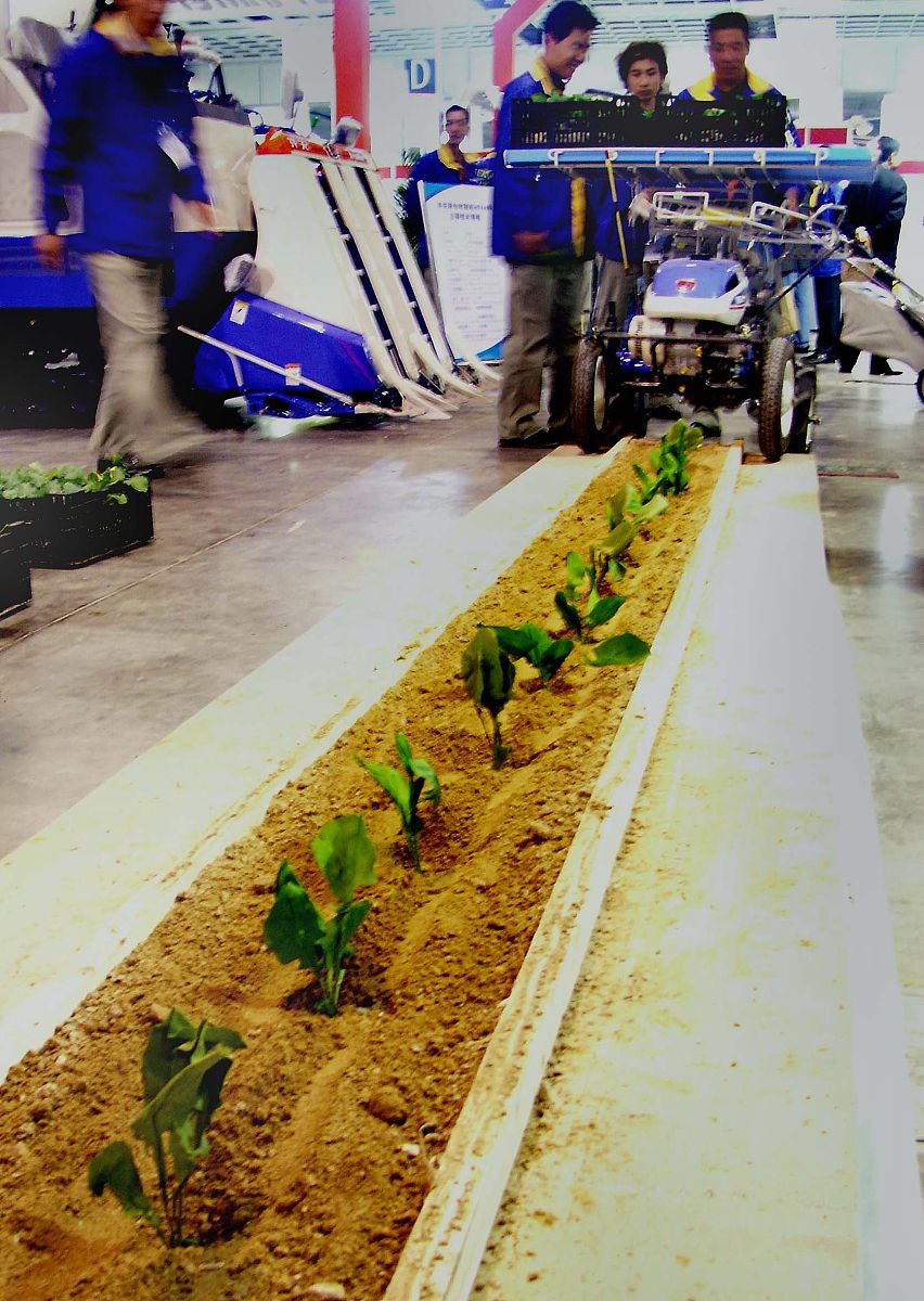 自动化红薯移栽机具企业有哪些