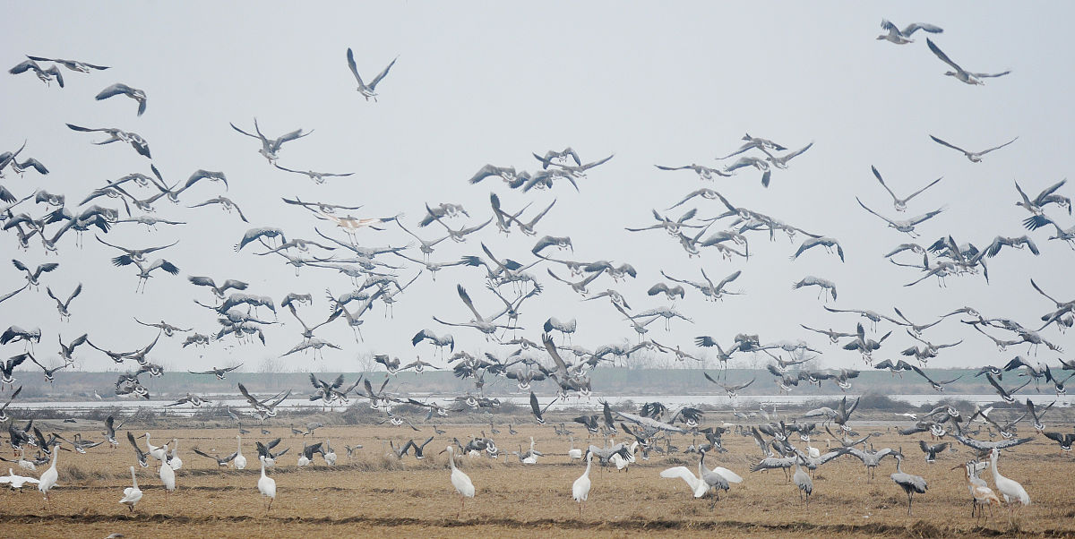上饶中等职业学校2022年招生简章