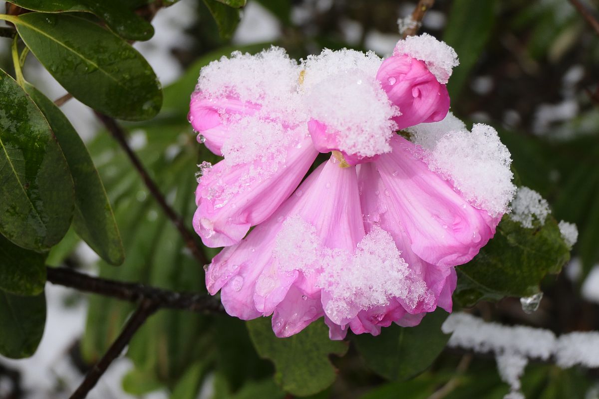 峨眉山职业技术学校2022年招生条件是什么