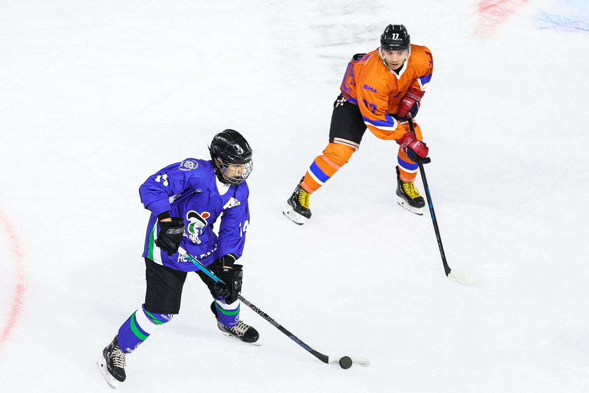 齐齐哈尔林业学校农村土地纠纷调解专业：培养专业人才，解决土地纠纷