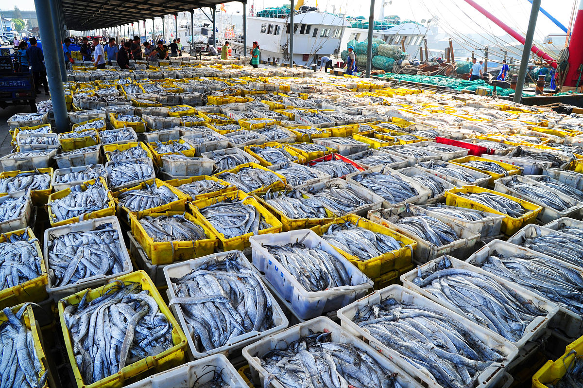 海产品自产自销的供应特点