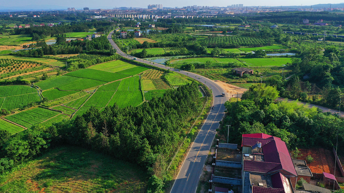 2023年乡镇干部乡村振兴深入调研报告