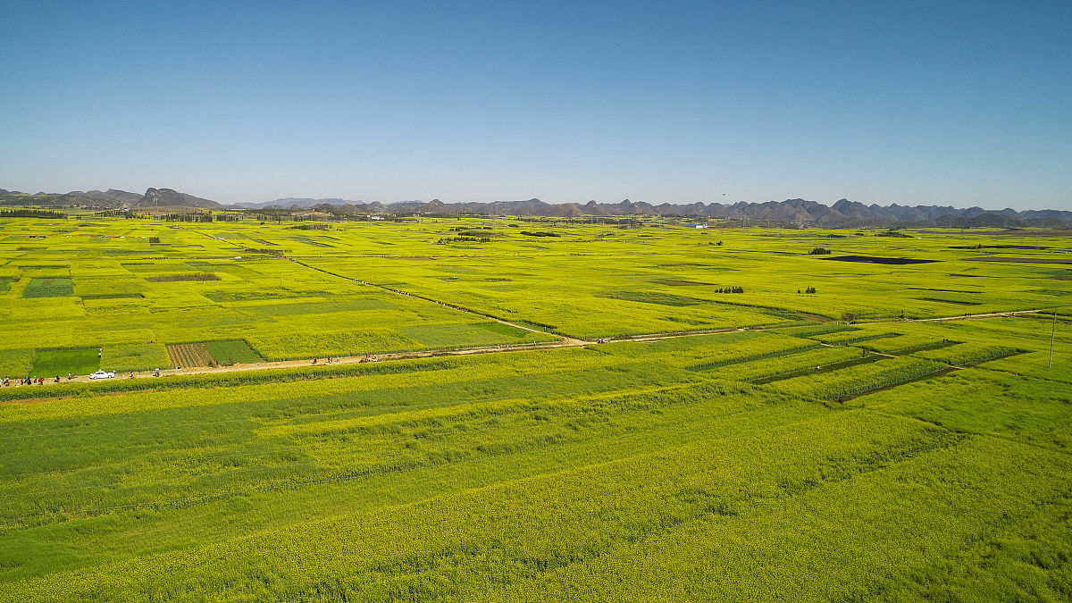 曲靖中专学校2019年招生简章：专业、时间、报名方式
