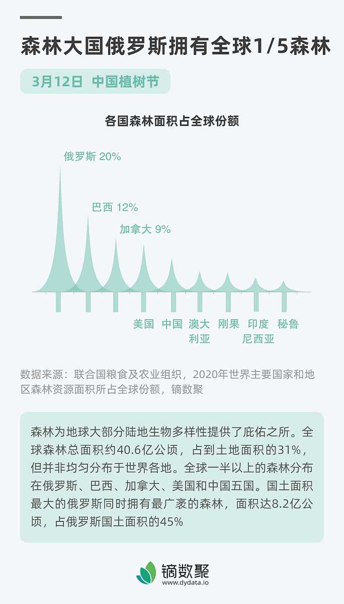 等保2.0测评步骤详解：从准备到报告生成