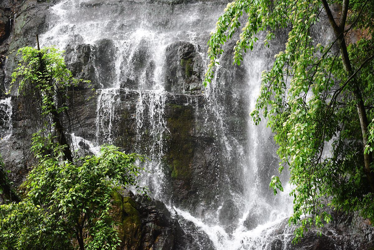 景区开发与管理专科专业怎么样？