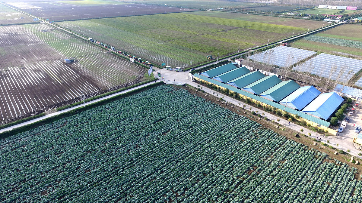 郑州市农业行业