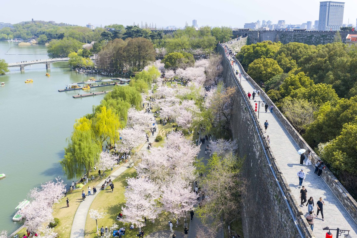 2026年3月29日,江苏南京,游客在玄武湖公园赏花游玩.