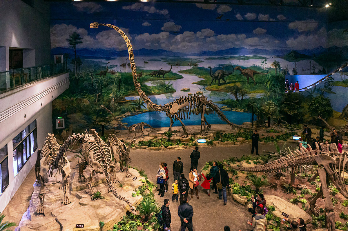 自贡市旅游攻略：恐龙、灯会、石刻，探秘中国恐龙之乡