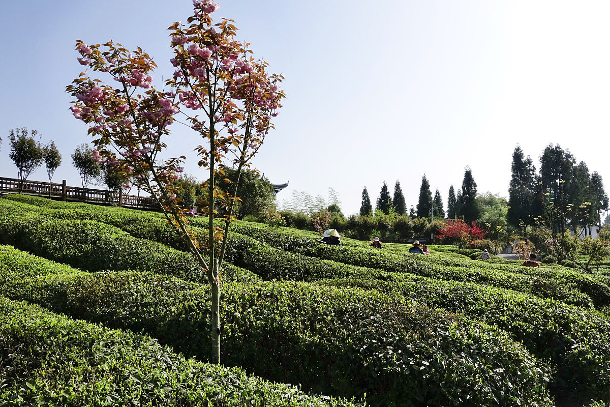 贵阳女生中专选什么专业好？2022热门专业推荐