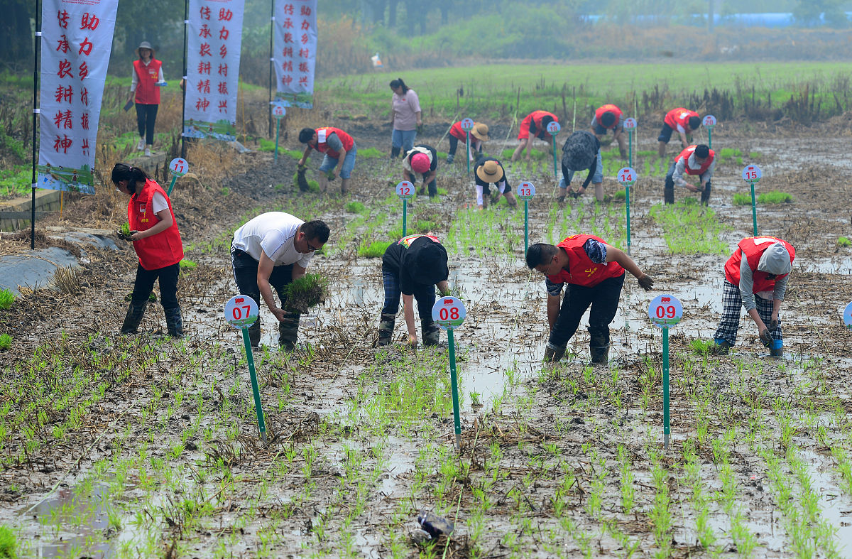 结合三下乡社会实践情况谈谈新心得体会