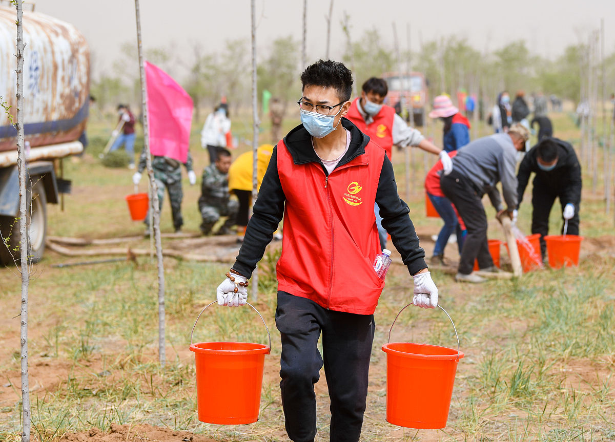 写一个有关植树节的策划案
