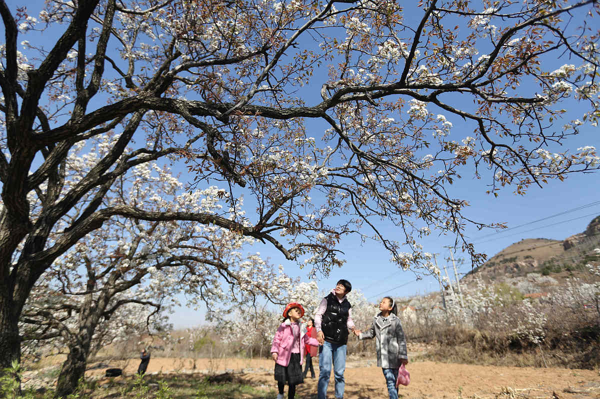 山东省临沂电力学院2019年招生简介：电力工程未来发展趋势
