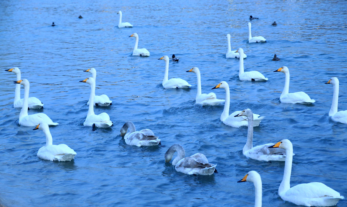 库尔勒风水大师：寻找当地风水专家指南