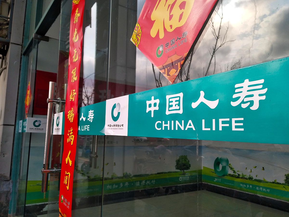 请写一段对本科毕业论文《中国人寿保险股份有限公司投资风险分析》的评语论文写作质量略差数据太老