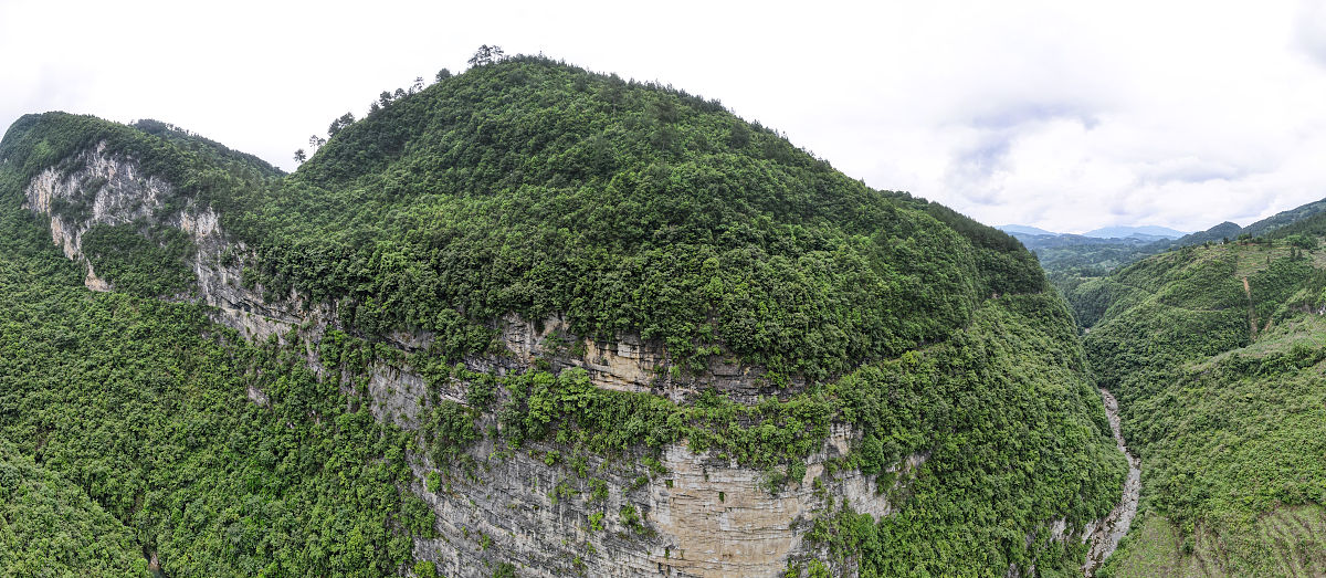 道真自治县中等职业学校2018年招生简章