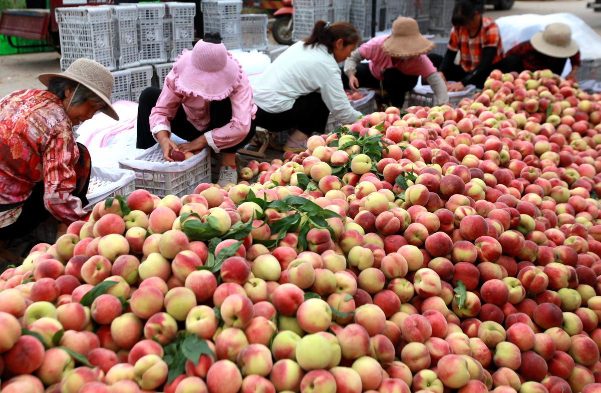 10个桃子街头快速卖完？试试这6个妙招！