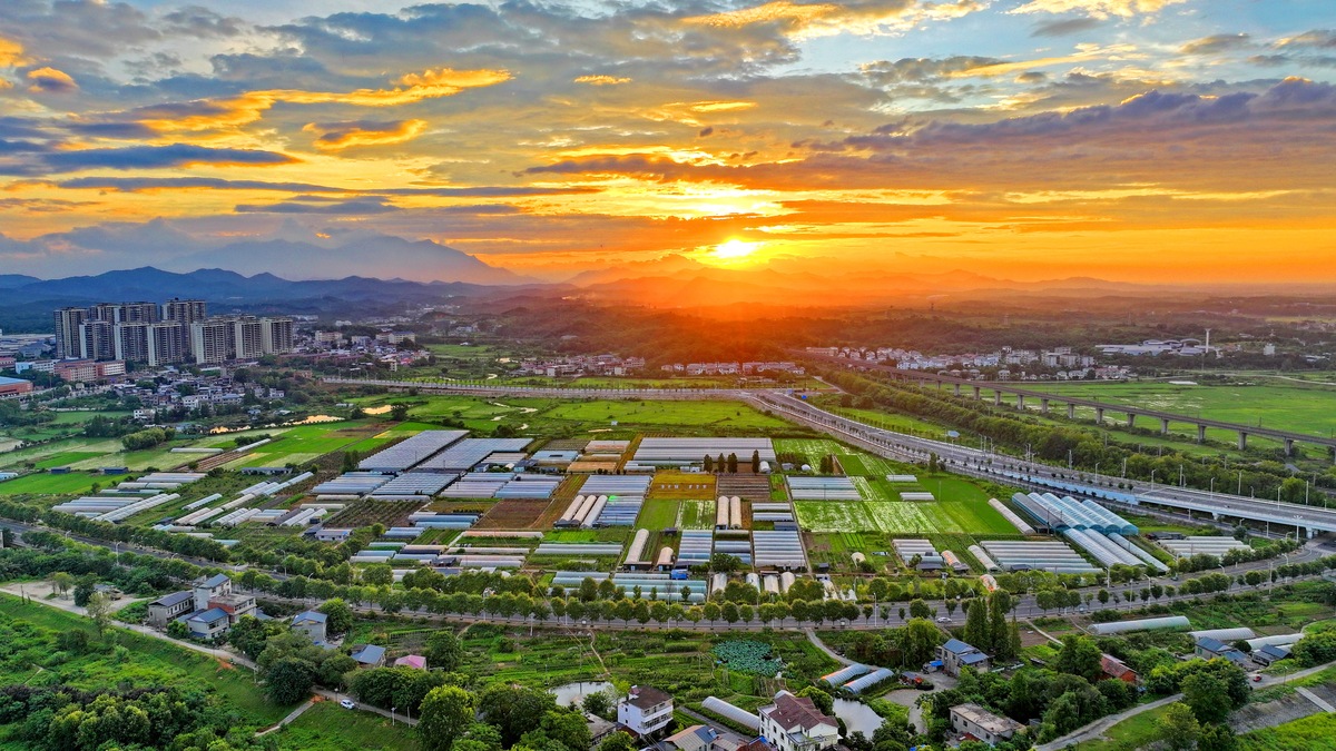 赣州的经济介绍