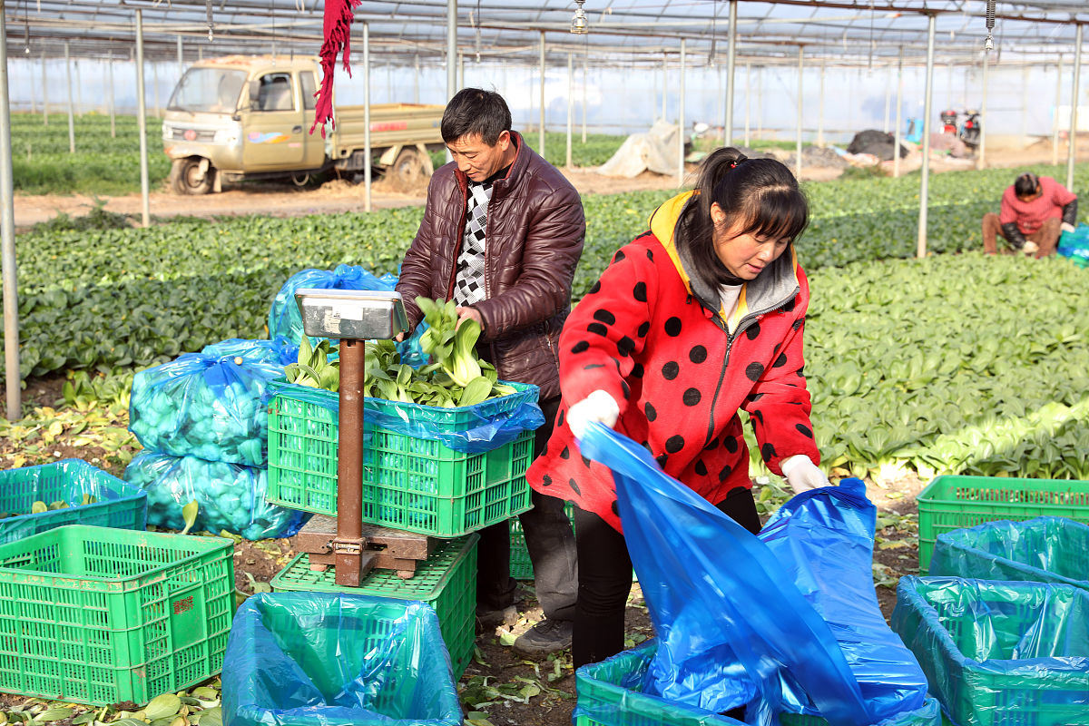 云南曲靖农业学校农产品保鲜与加工专业怎么样？就业前景及课程设置