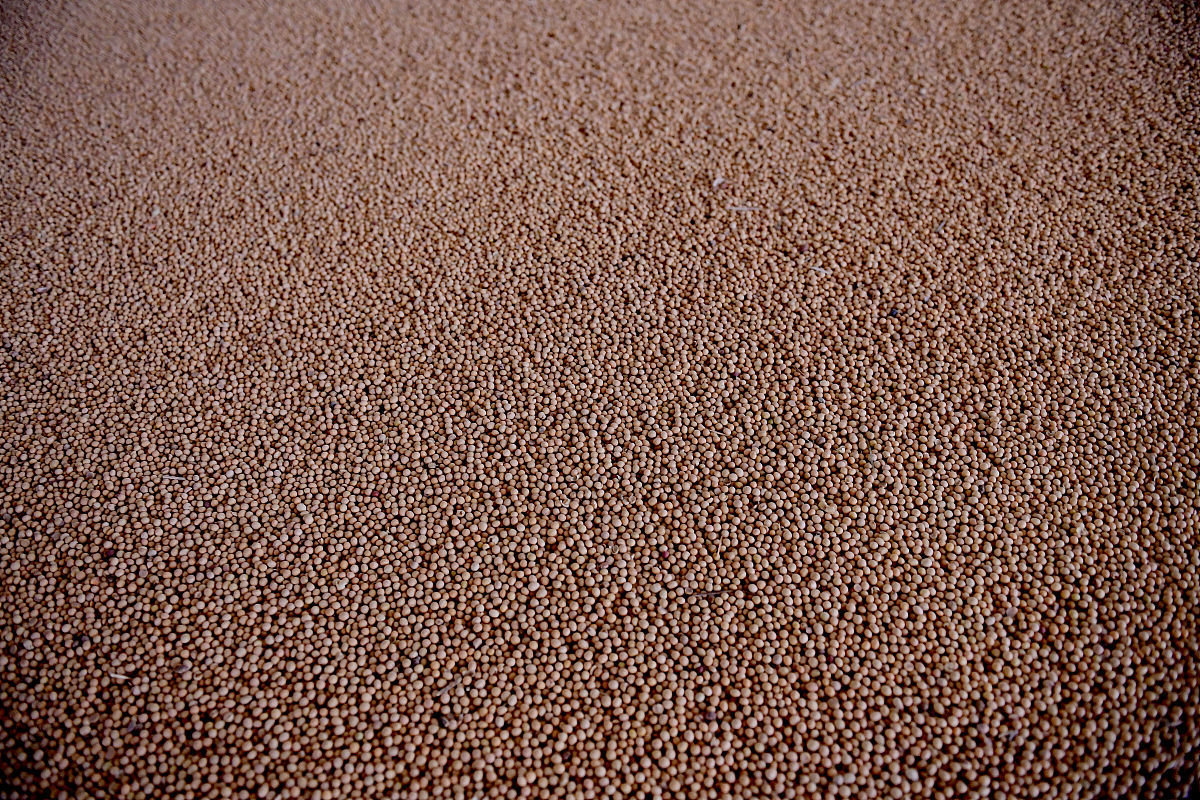 wheat_x_train wheat_y_train wheat_x_val wheat_y_val wheat_x_test wheat_y_test = get_train_val_test wheat_file_path cv_i sampling_depth begin_index paddy_x_train paddy_y_train paddy_x_val pad