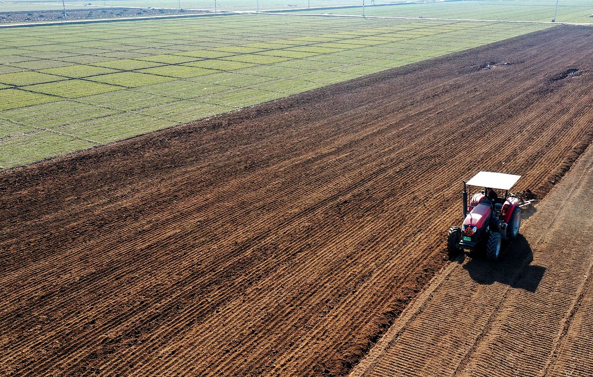 土地利用数量变化研究综述：视角、学者、方法与结论