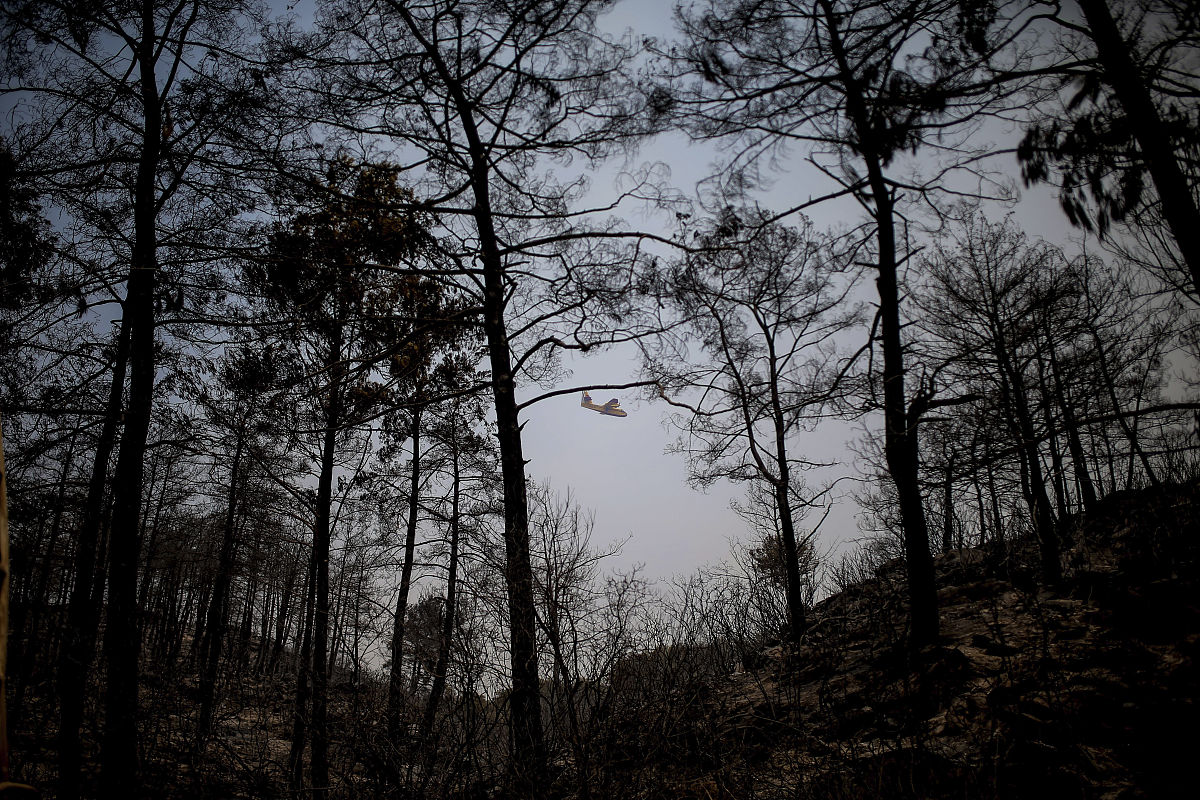 云南省林业高级技工学校现代林业技术专业招生 | 高级林业人才培养