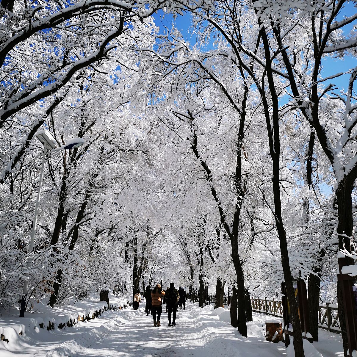 2021年2月15日,辽宁本溪成中山公园平顶山,瑞雪之后,天空放晴,碧空如