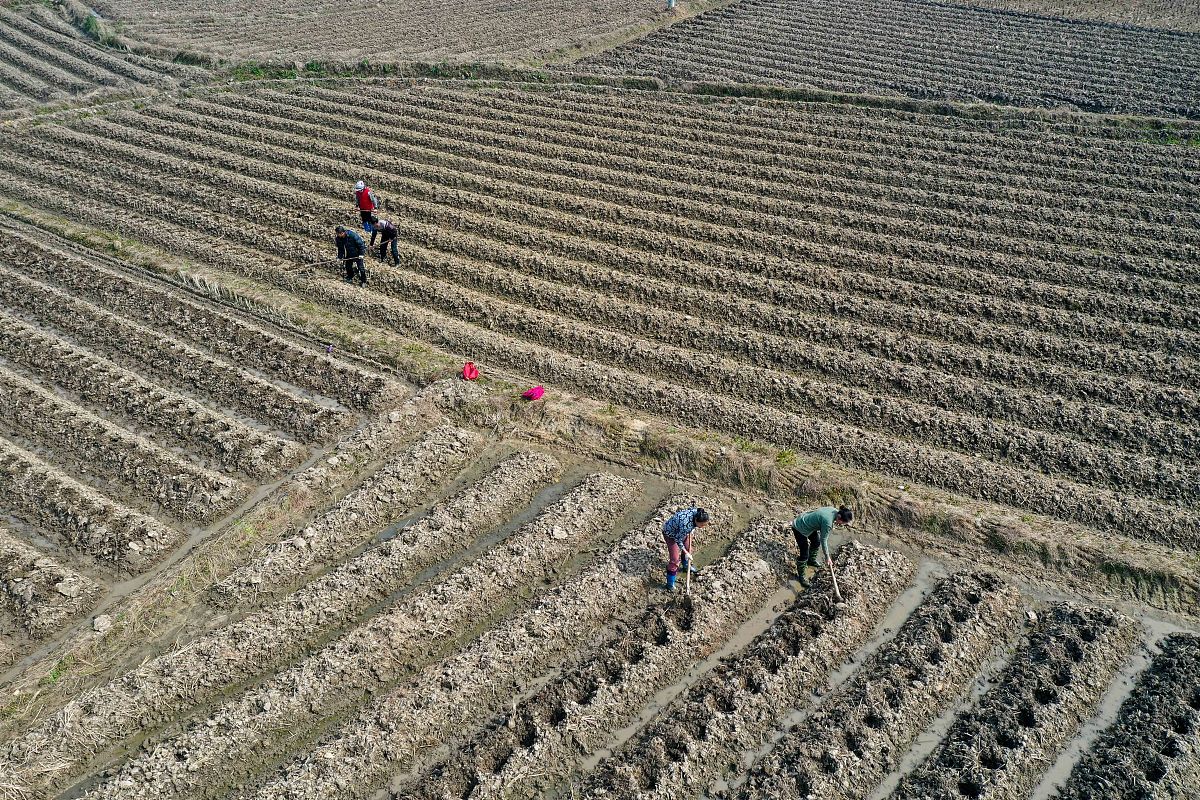 永州卫校2022年招生简章好麽