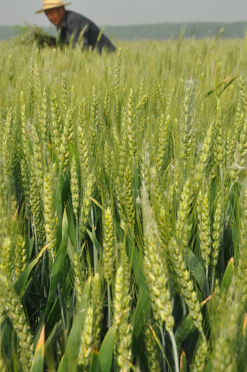 我和张三是朋友李四偷上了朋友的快手号我发给朋友的私信李四能在手机上看见吗