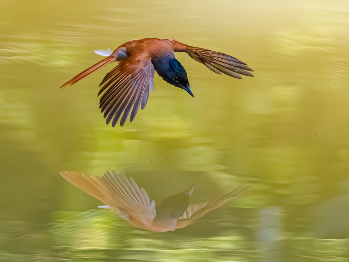 南昌公办的中专学校有哪些_2021年南昌市公办中专学校