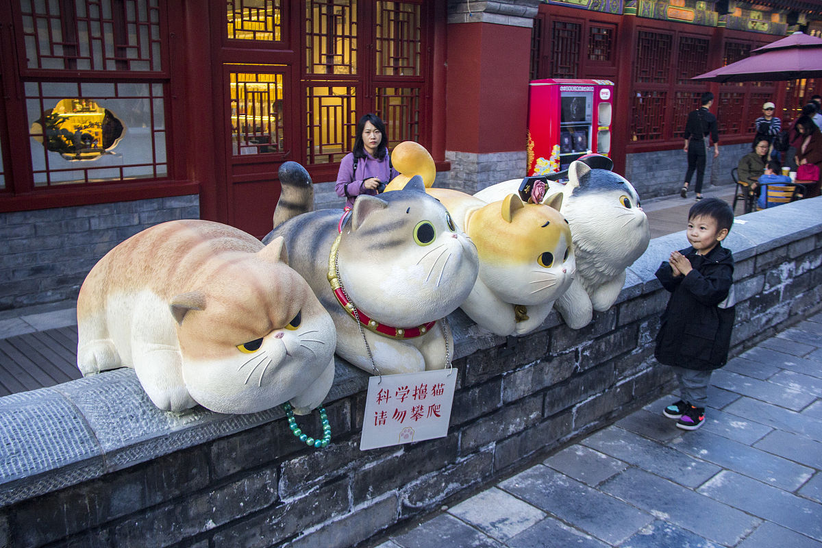 关于北京景山的传说中有两只受皇帝宠爱的小猫甚至被册封为御猫即使死后也葬在了景山的大树下。你知道这个传说吗？请根据这个传说写个文创产品宣传的广告语要求简短有内涵能让人记住这个形象最好跟北京文化有些联系两只小猫的形象我已经设计好了可惜你没法看到比较像小狮子白色的叫雪眉黄色的叫狮猫另外你能不能多列举一些？